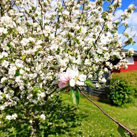 4 Person Holiday Home In Otterup Torreso Екстер'єр фото
